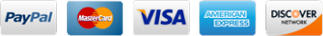 A visa logo is shown on top of the company 's website.